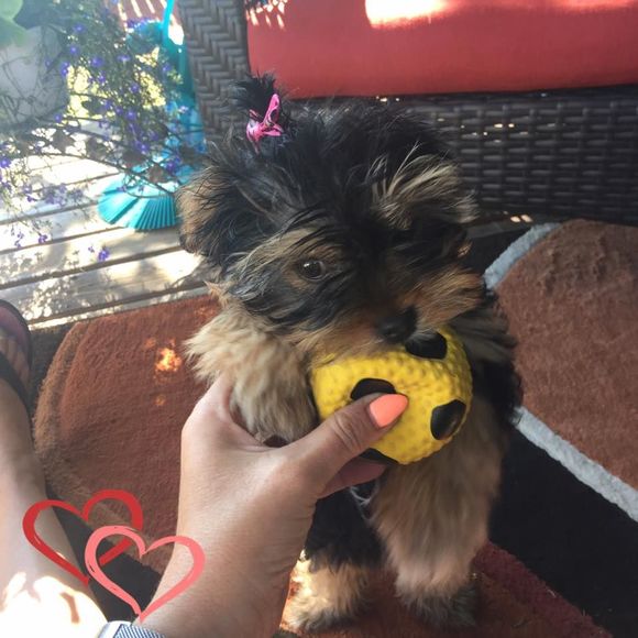 Meet your Posher, Gail - Picture 1 of 1